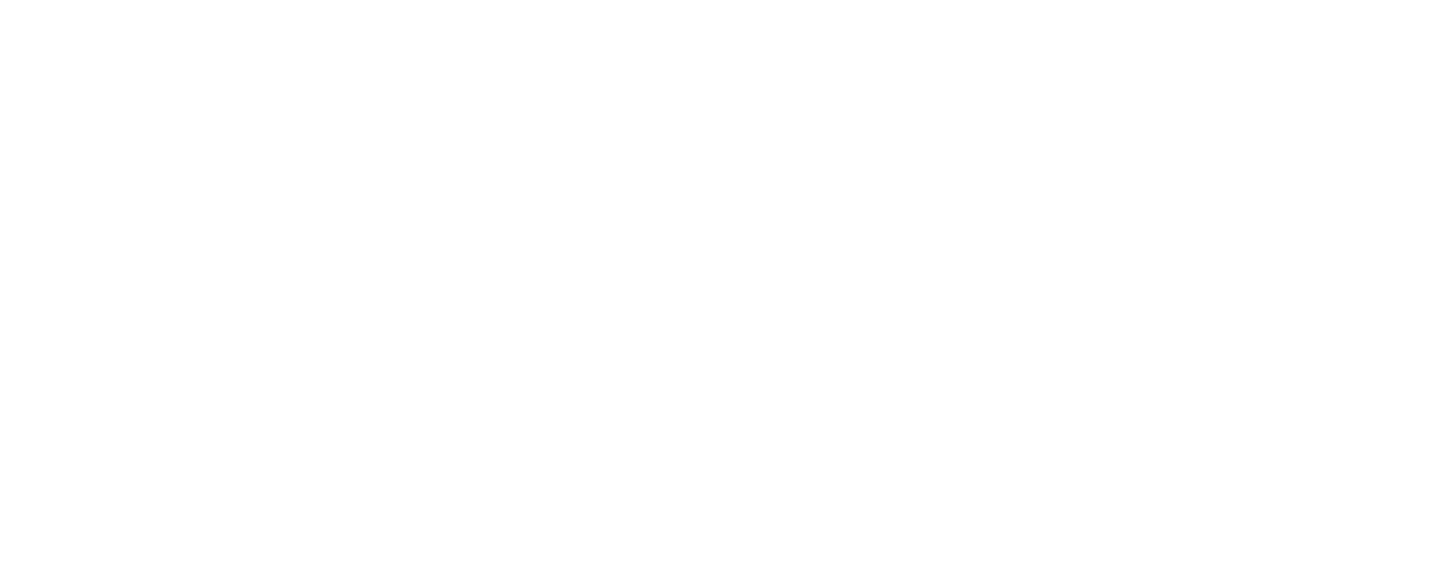 Bobi Wine: The People's President logo