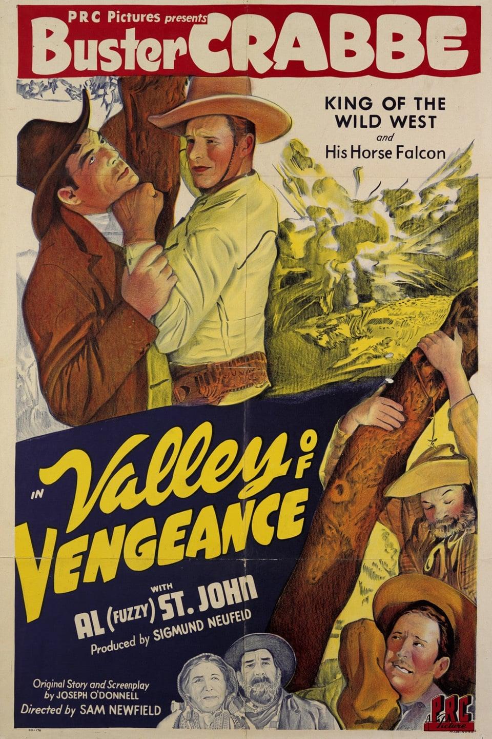 Valley Of Vengeance poster