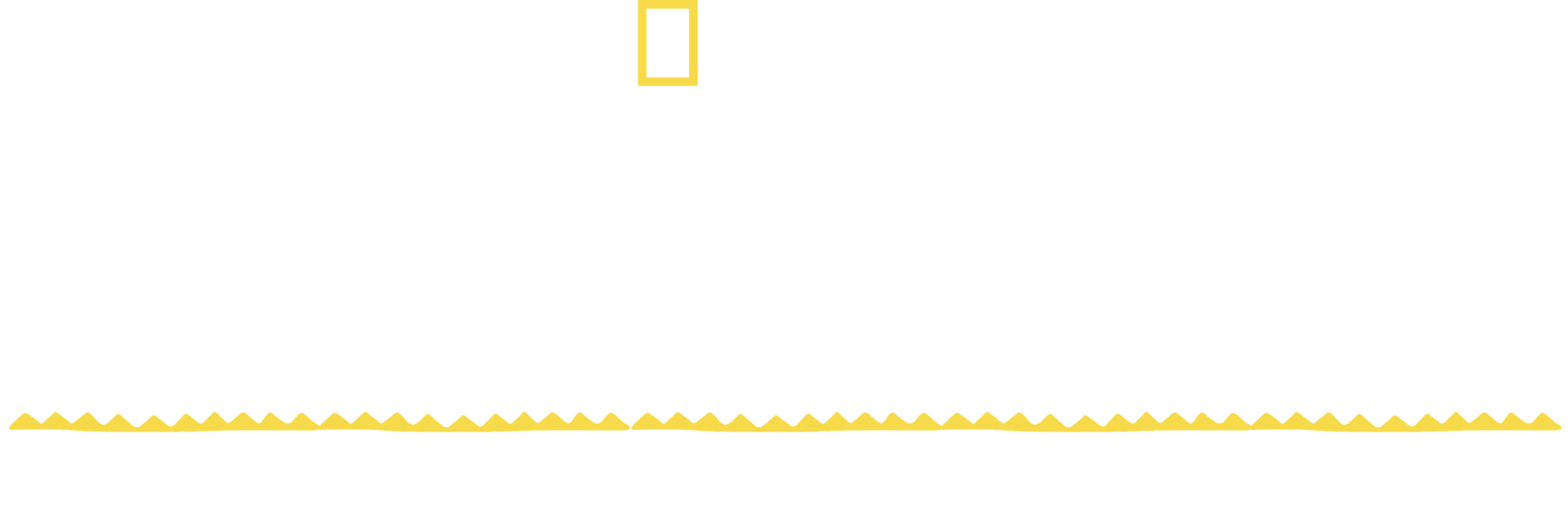 Lost Cities: Megacity of the Maya Warrior King logo