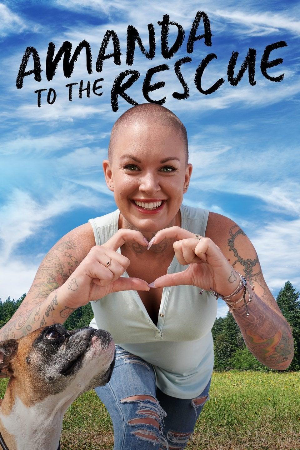 Amanda to the Rescue poster