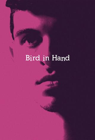 Bird in Hand poster