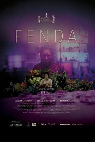 Fenda poster