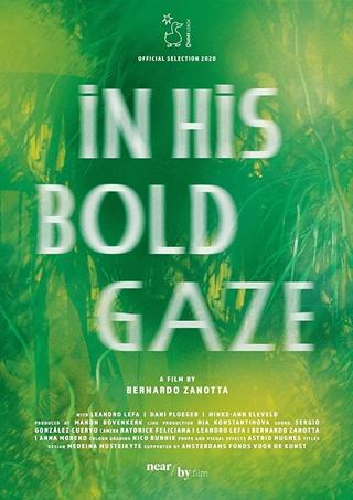In His Bold Gaze poster