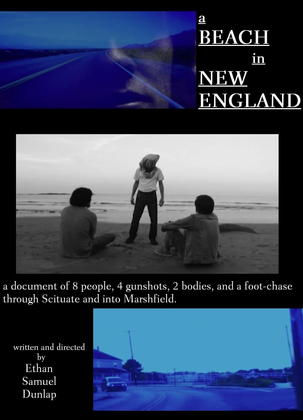 A Beach in New England poster