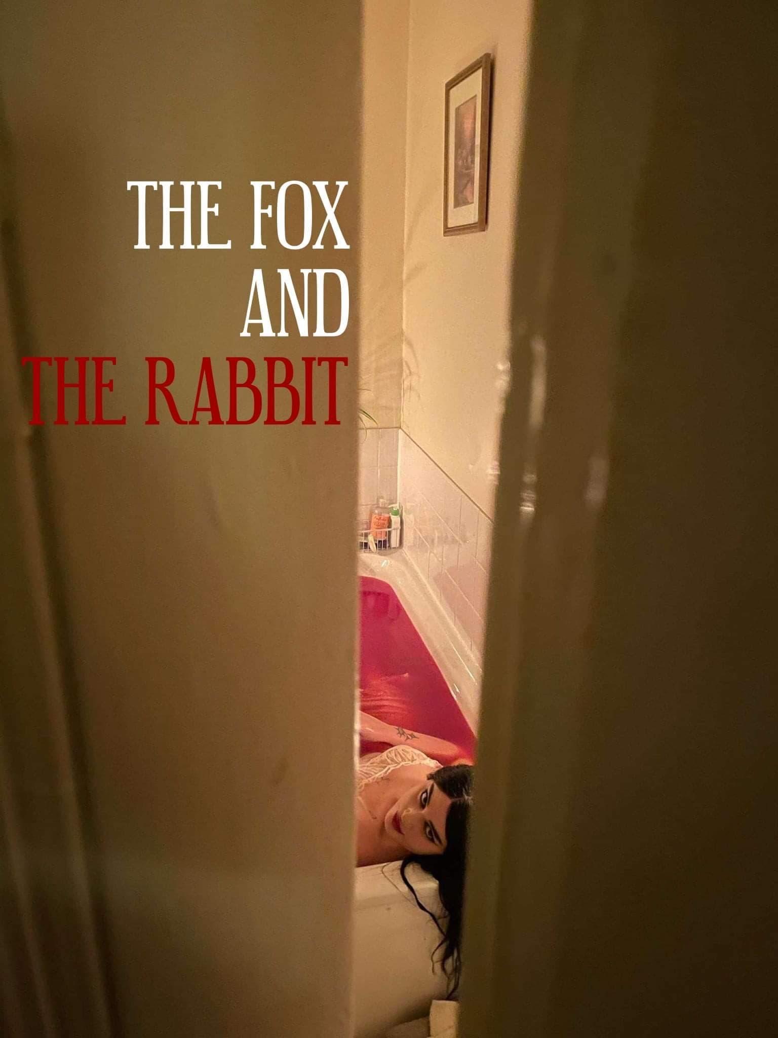 The Fox and The Rabbit poster