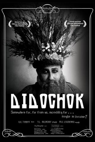 Didochok poster