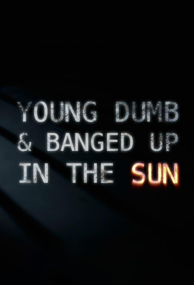 Young Dumb and Banged Up in the Sun poster