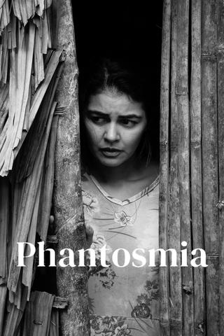 Phantosmia poster