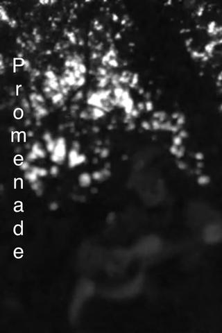 Promenade poster