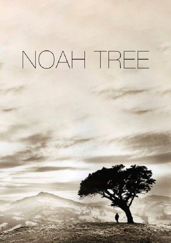 Noah Land poster