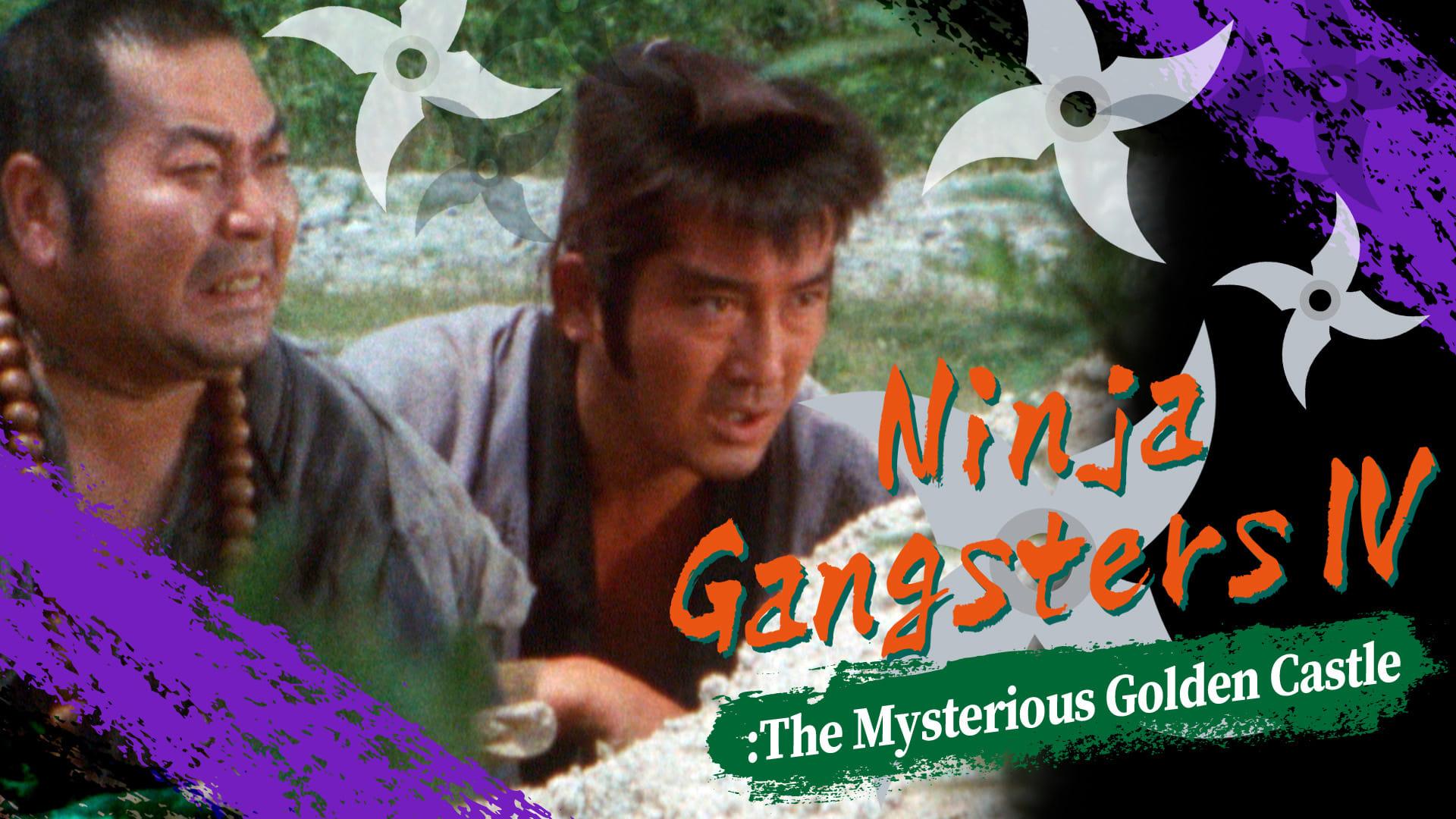 Ninja Gangsters IV: The Mysterious Golden Castle backdrop