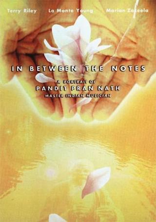 In Between The Notes: A Portrait of Pandit Pran Nath poster