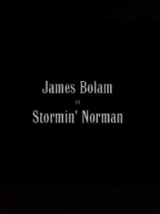 Stormin' Norman poster