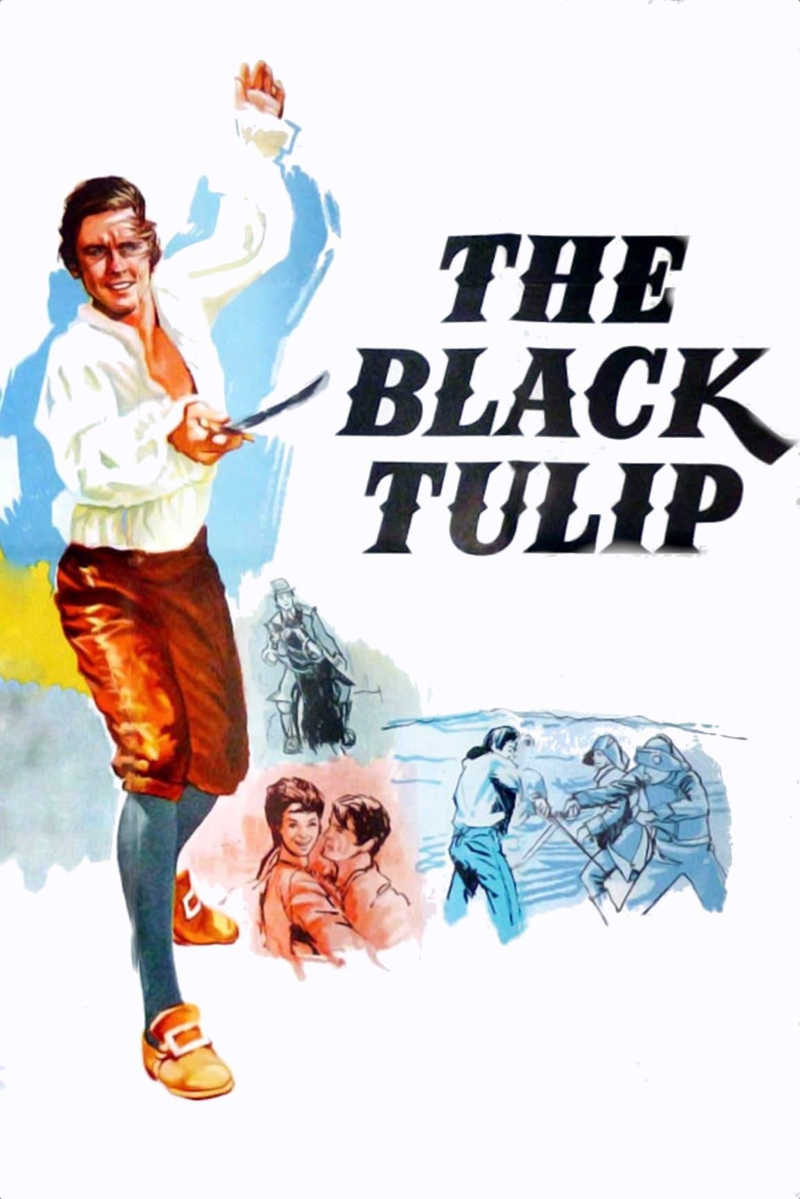 The Black Tulip poster
