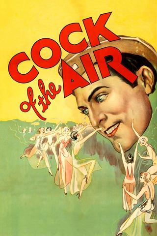 Cock of the Air poster
