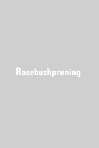 Rosebush Pruning poster