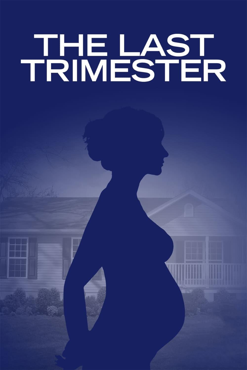 The Last Trimester poster