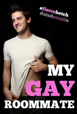 My Gay Roommate poster