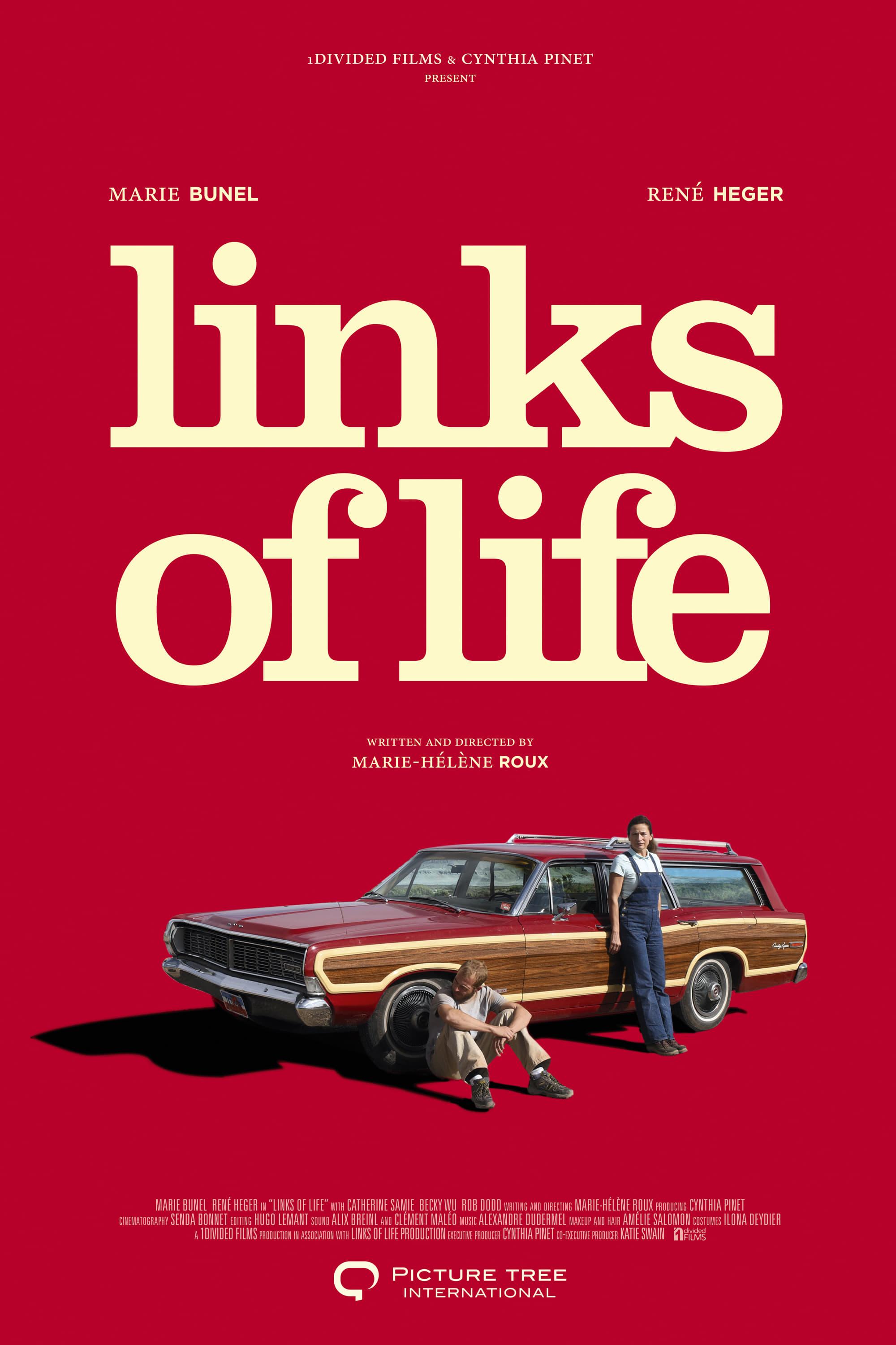 Links of Life poster