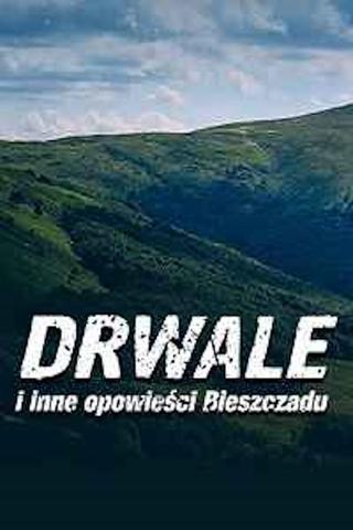 Drwale i inne opowieści Bieszczadu poster