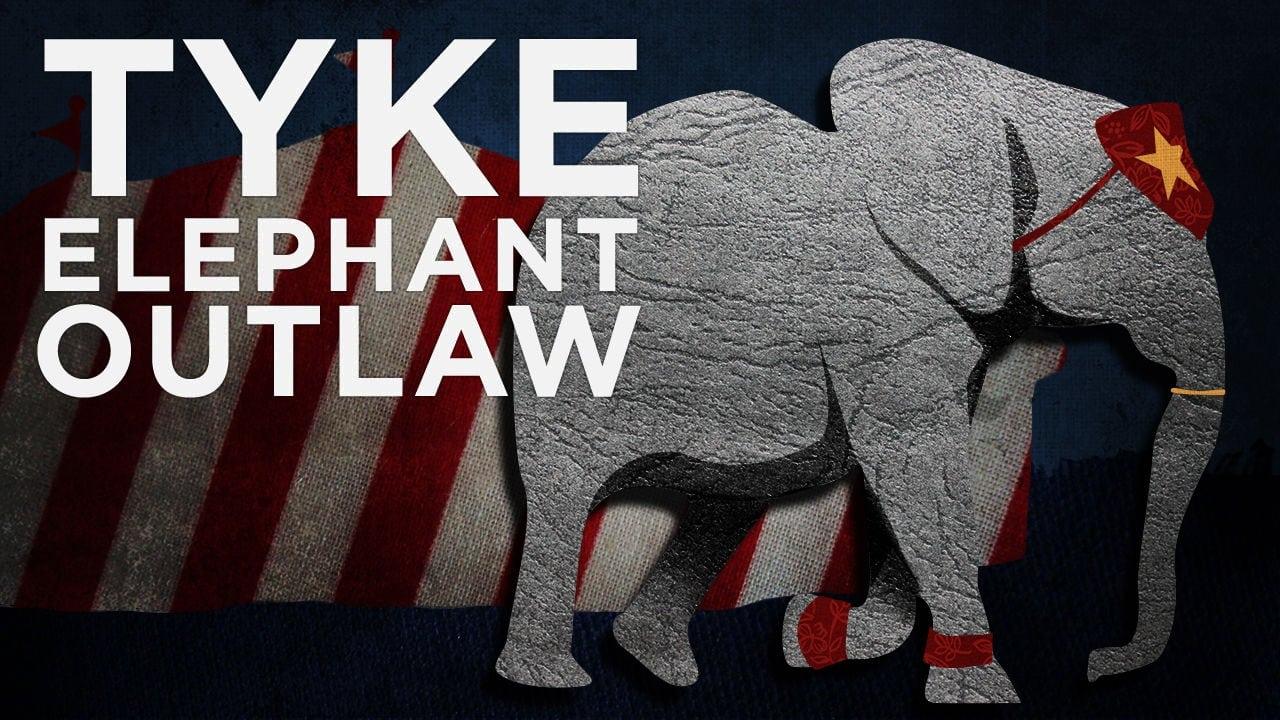 Tyke Elephant Outlaw backdrop