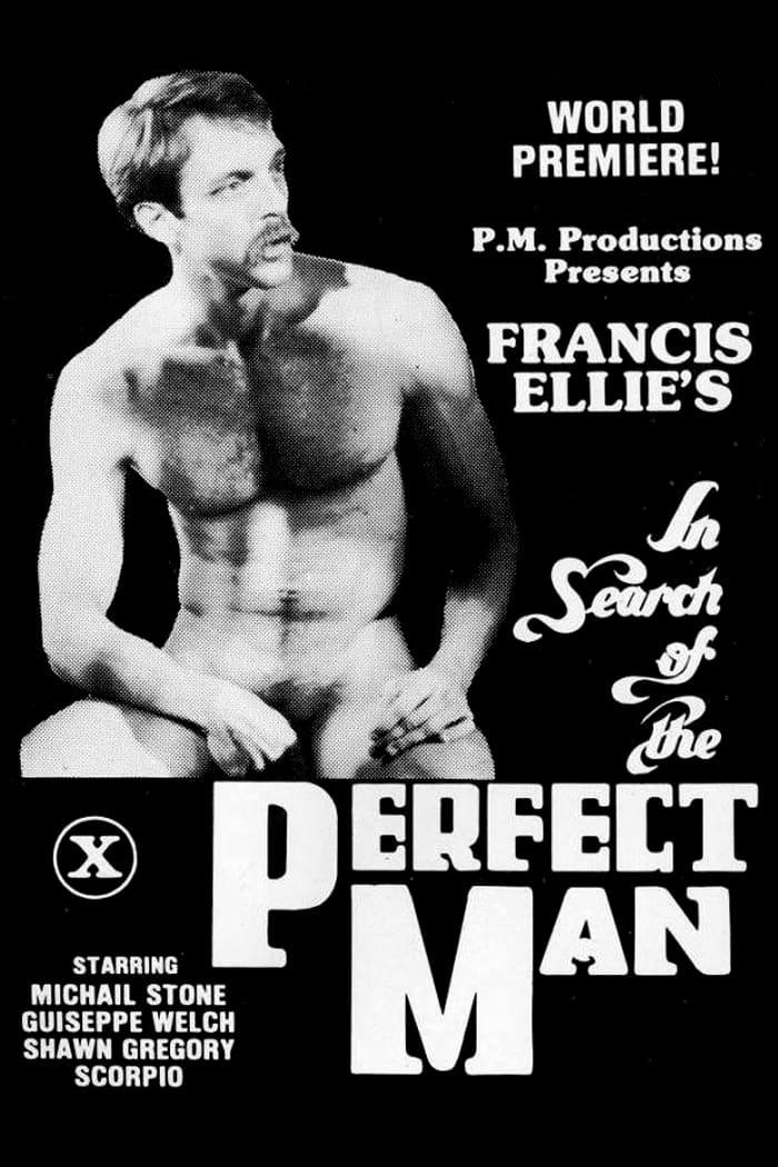 In Search of the Perfect Man poster