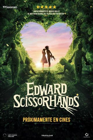 Edward Scissorhands poster