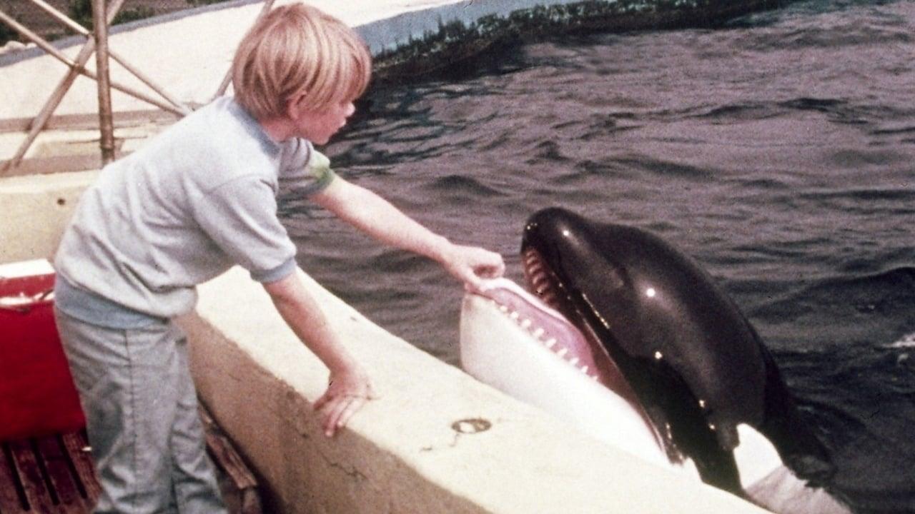 A Whale of a Tale backdrop