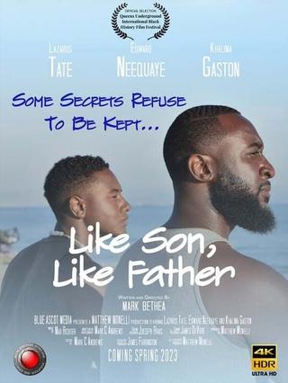Like Son, Like Father poster