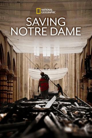 Saving Notre Dame poster