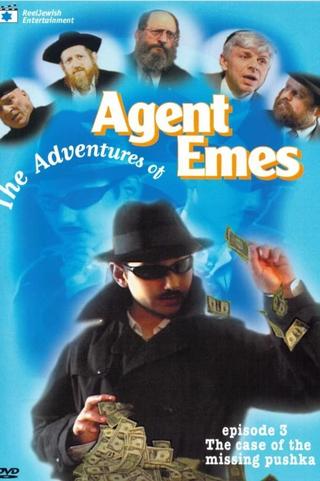 Agent Emes 3: The Case of the Missing Pushka poster