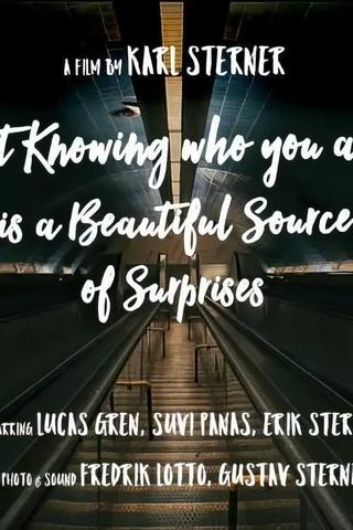 Not knowing who you are is a beautiful source of surprises poster