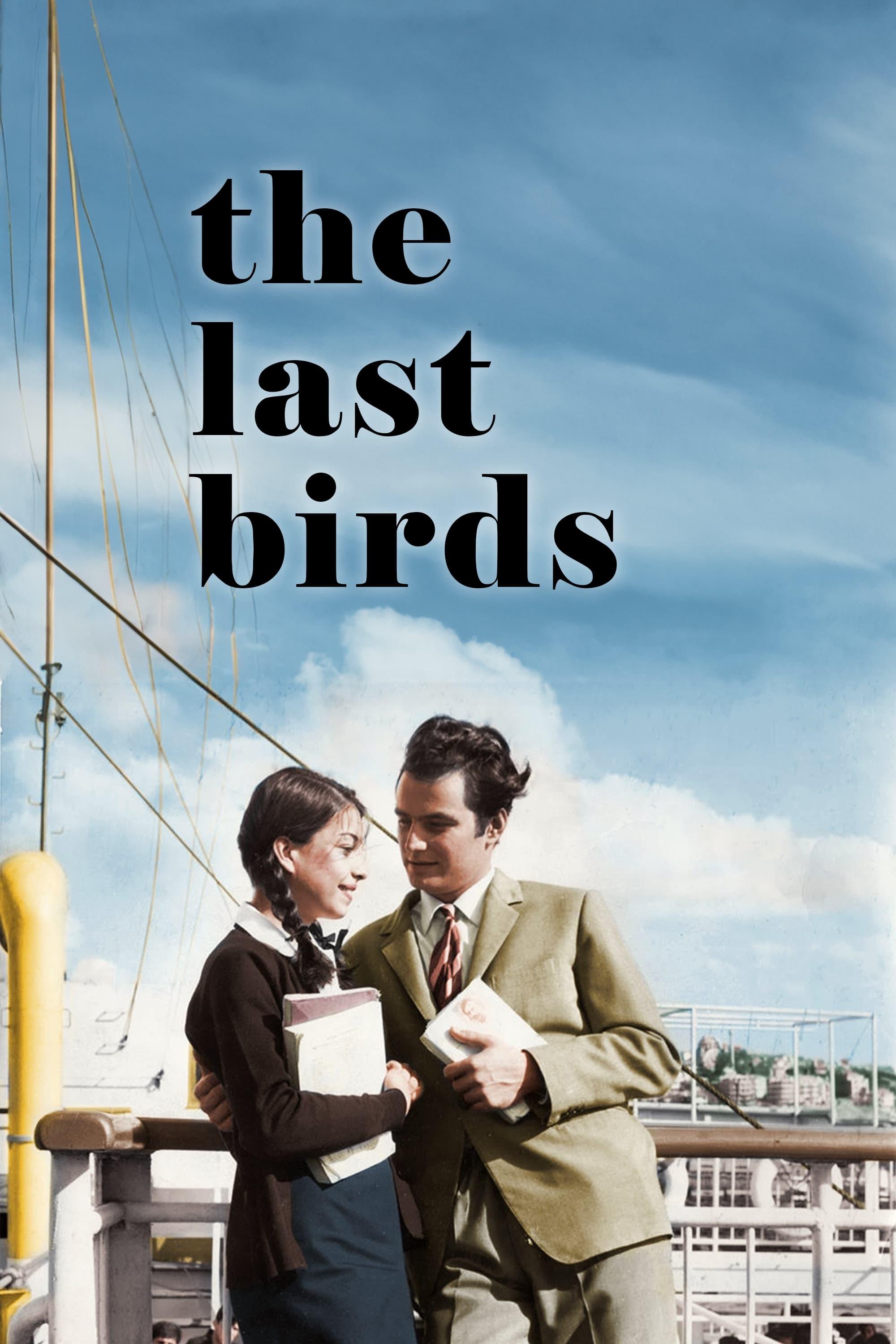 The Last Birds poster