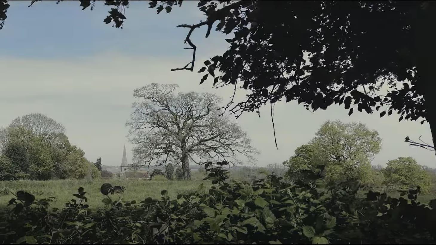 Terence Davies backdrop