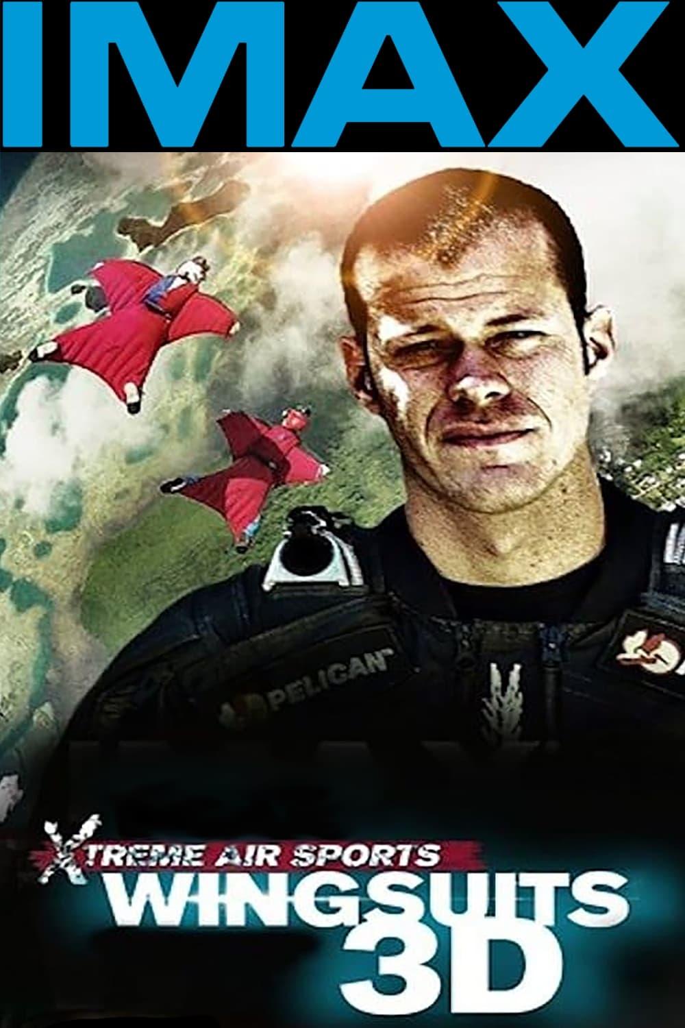 Wingsuit Warrior poster