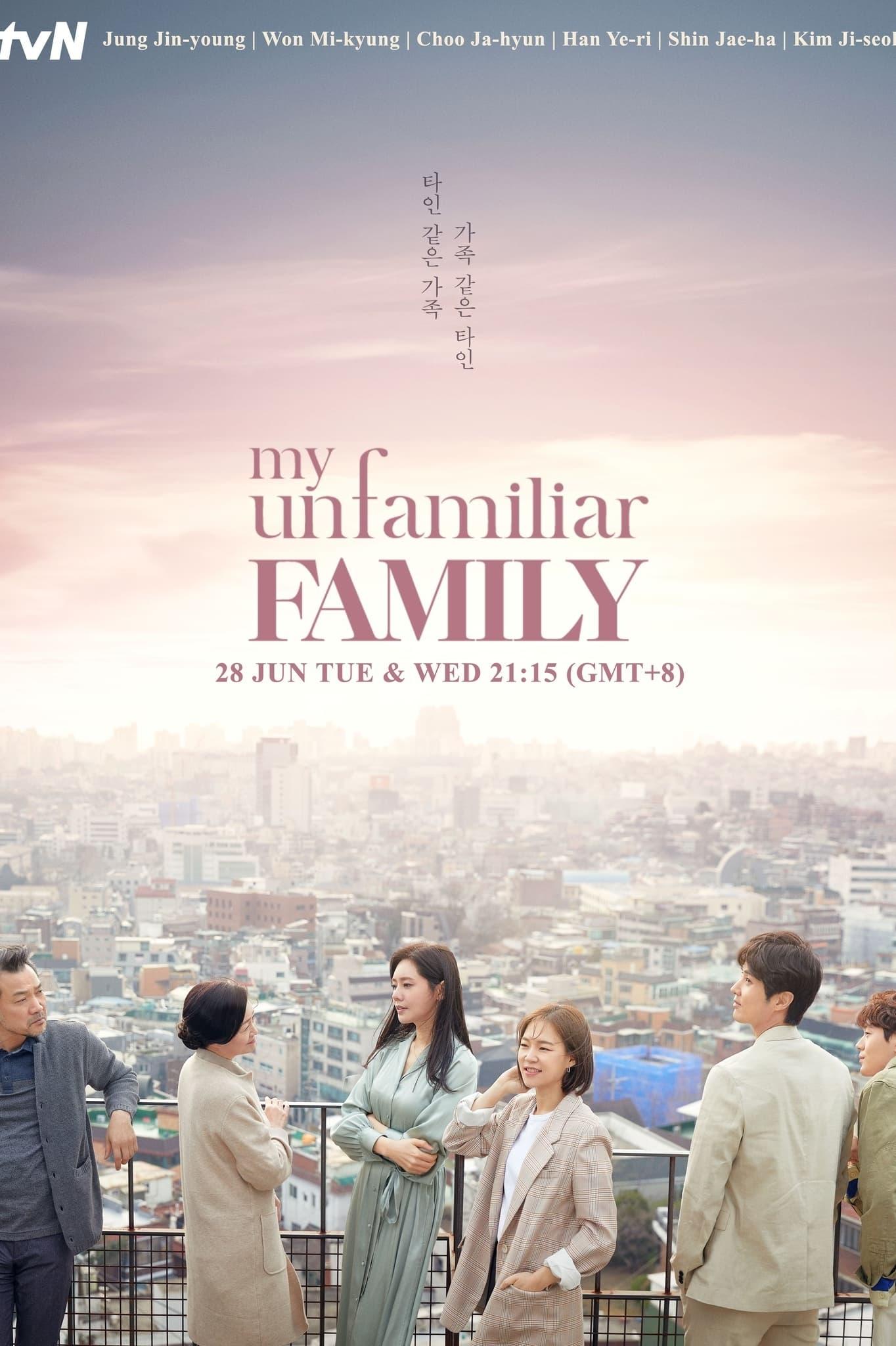 My Unfamiliar Family poster