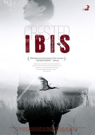 Crested Ibis poster