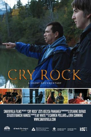 Cry Rock poster