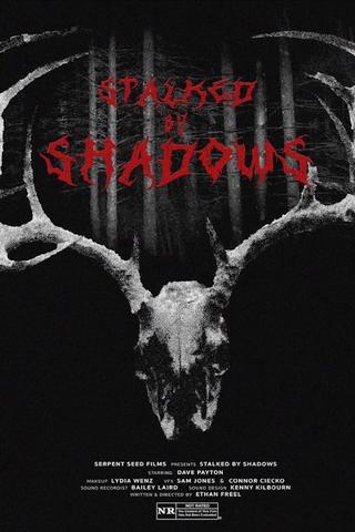 Stalked by Shadows poster