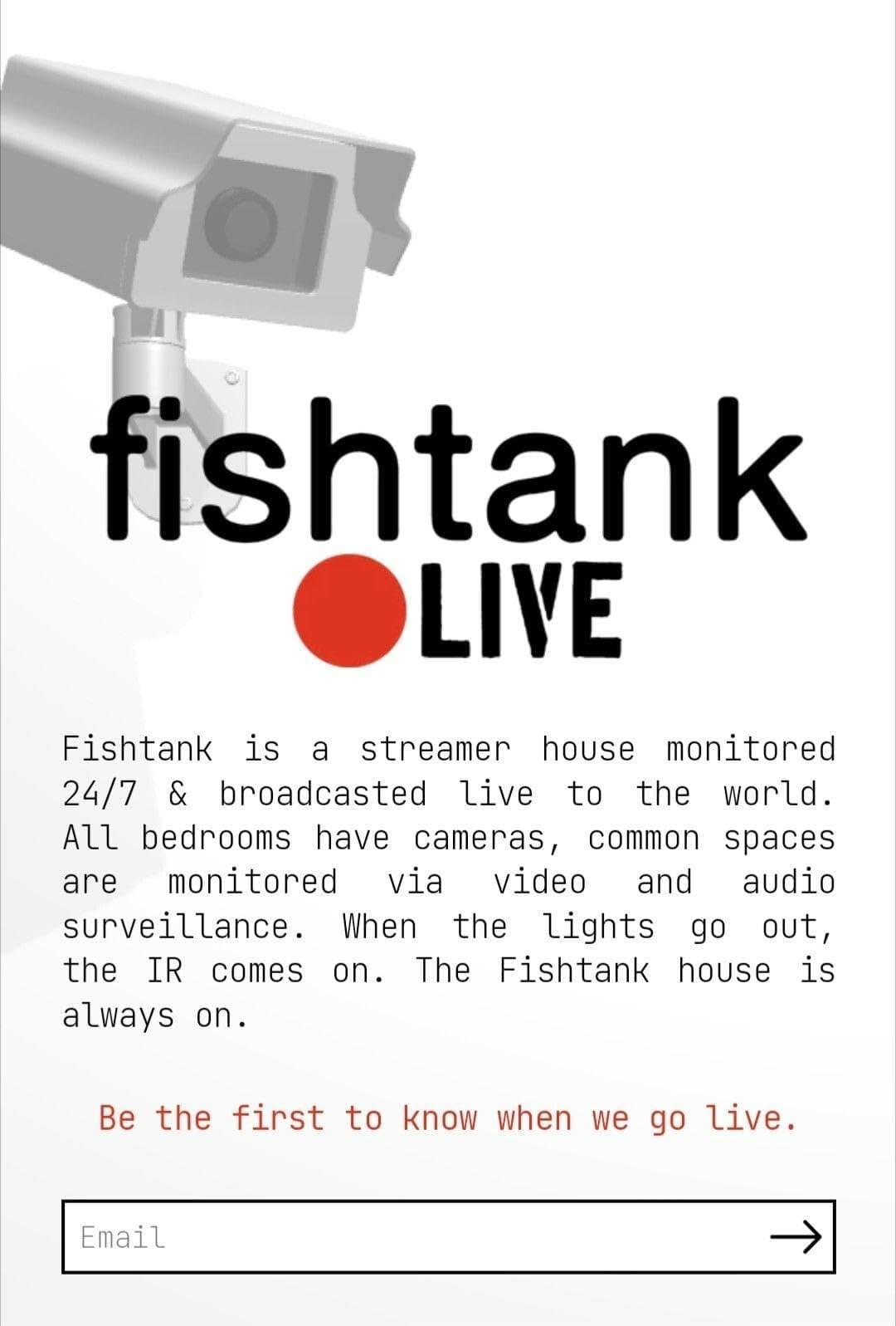 fishtank poster