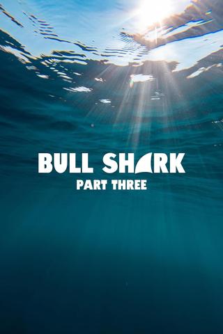 Bull Shark Part Three poster
