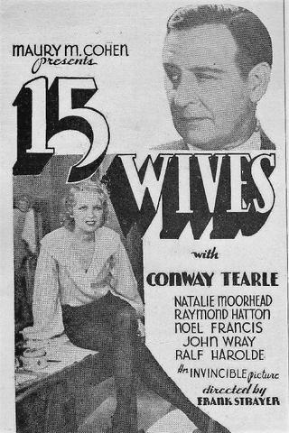 Fifteen Wives poster