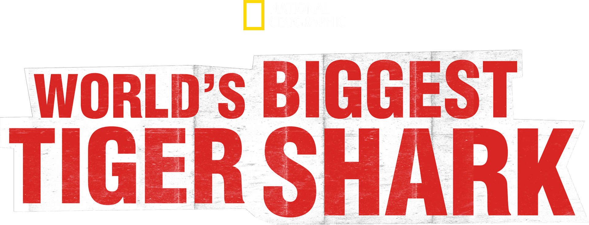 World's Biggest Tiger Shark logo