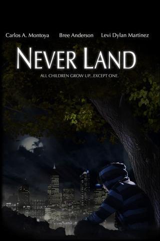 Never Land poster