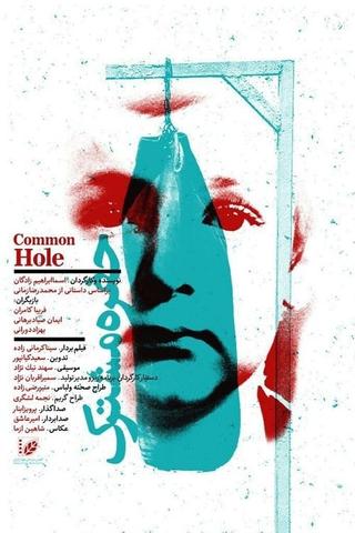 Common Hole poster