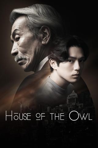 House of the Owl poster