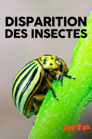 Das große Insektensterben poster