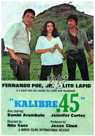 Kalibre .45 poster
