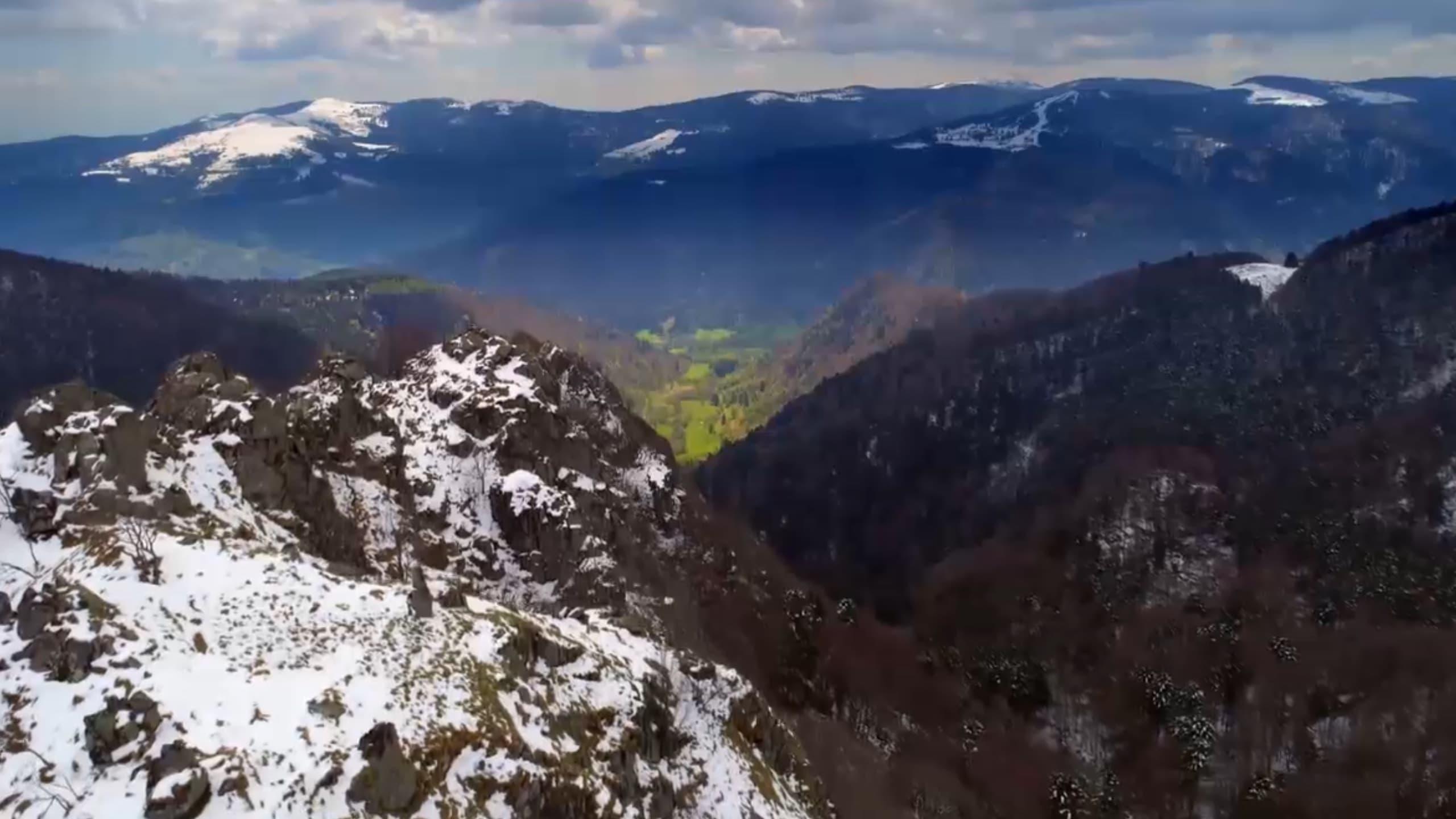 Wildes Elsass backdrop