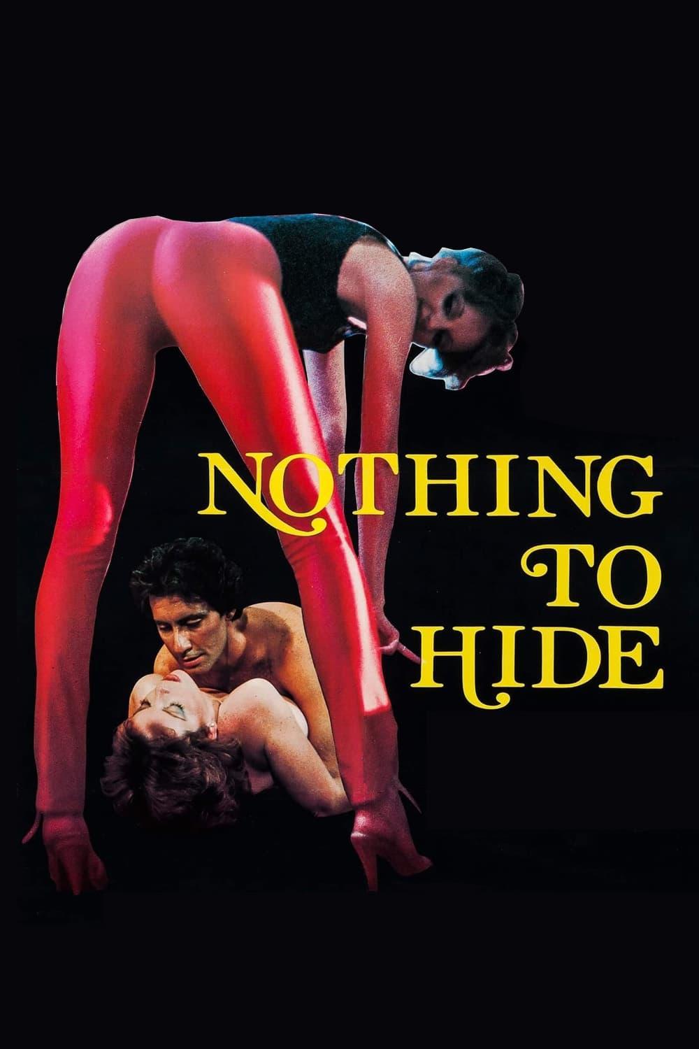 Nothing to Hide poster